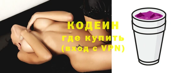 СК Вязьма