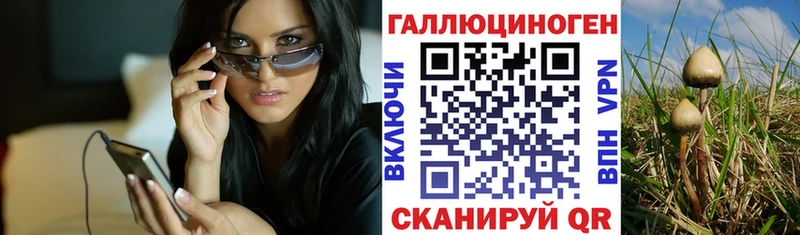 shop Telegram  Новохопёрск  Галлюциногенные грибы MAGIC MUSHROOMS 